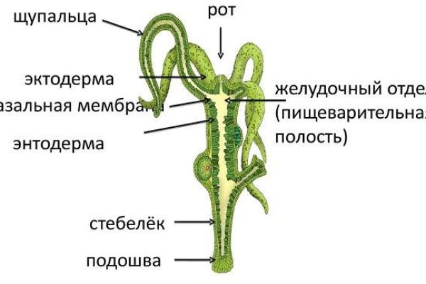 Кракен пополнение